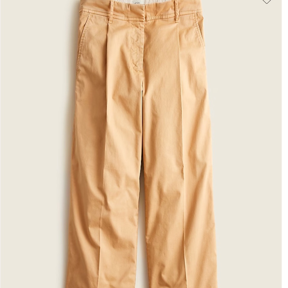 JCrew Wide-Leg Pleated Chinos